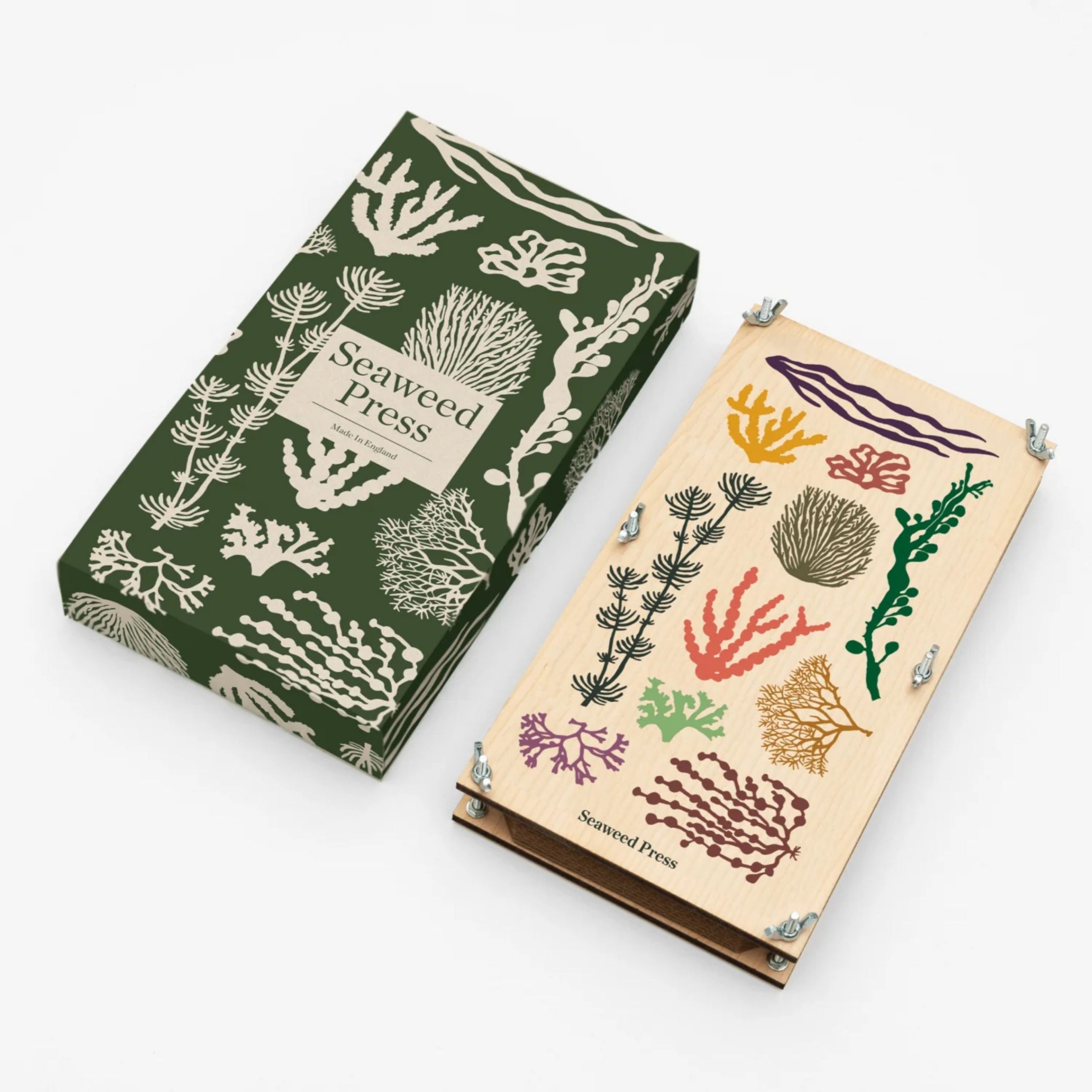 Seaweed Packaging: The Future of Sustainable Solutions